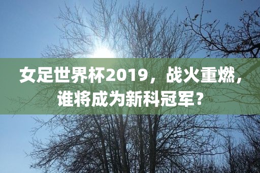 女足世界杯2019，战火重燃，谁将成为新科冠军？眉山市正发家政服务有限公司