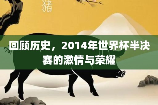 回顾历史，2014年世界杯半决赛的激情与荣耀眉山市正发家政服务有限公司