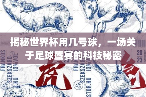 揭秘世界杯用几号球，一场关于足球盛宴的科技秘密