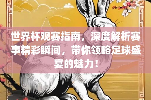世界杯观赛指南，深度解析赛事精彩瞬间，带你领略足球盛宴的魅力！
