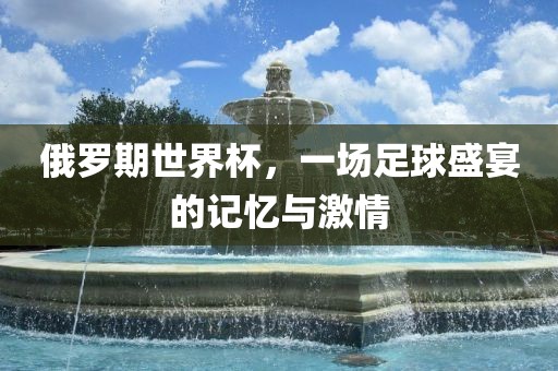 足球盛宴 第5页