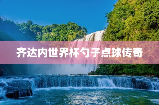 齐达内世界杯勺子点球传奇眉山市正发家政服务有限公司