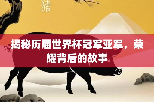 揭秘历届世界杯冠军亚军，荣耀背后的故事