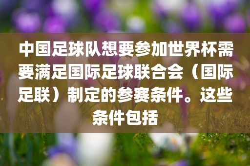 中国足球队想要参加世界杯需要满足国际足球联合会（国际足联）制定的参赛条件。这些条件包括
