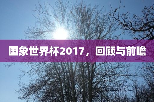 国象世界杯2017，回顾与前瞻