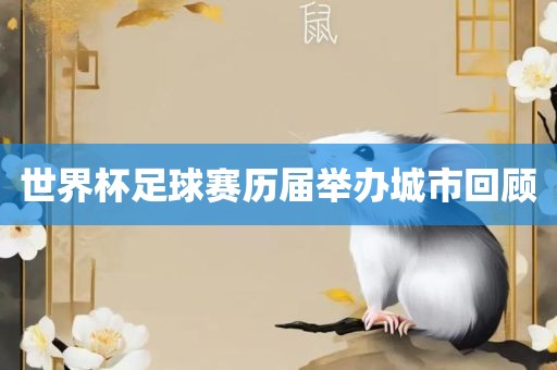 世界杯足球赛 第2页