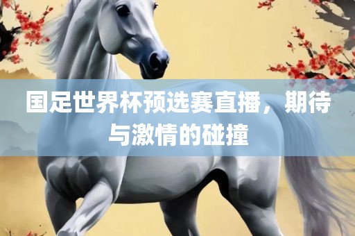 国足世界杯预选赛直播，期待与激情的碰撞
