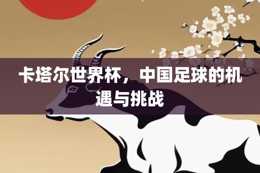 卡塔尔世界杯，中国足球的机遇与挑战