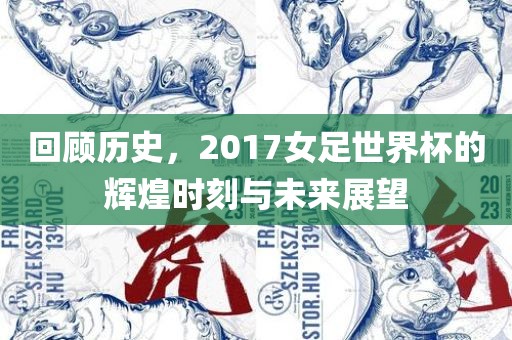 回顾历史，2017女眉山市正发家政服务有限公司足世界杯的辉煌时刻与未来展望