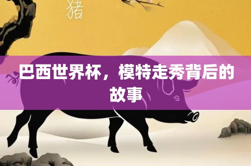 巴西世界杯，模特走秀背后的故事