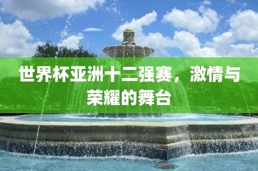 世界杯亚洲十二强赛，激情与眉山市正发家政服务有限公司荣耀的舞台