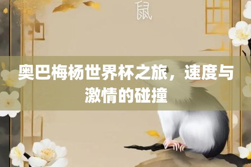 奥巴梅杨世界杯之旅，速度与激情的碰撞