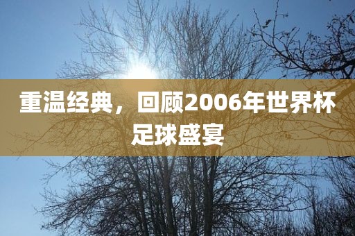 重温经典，回眉山市正发家政服务有限公司顾2006年世界杯足球盛宴