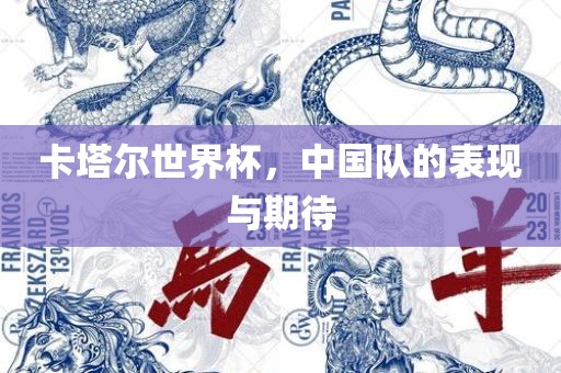 卡塔尔世界杯，中国队的表现与期待