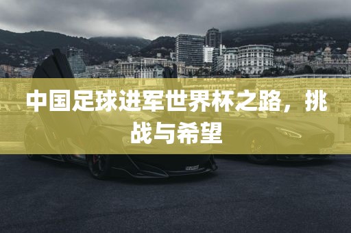 中国足球进军世界杯之路，挑战与希望眉山市正发家政服务有限公司