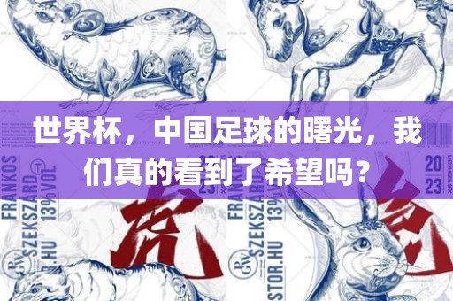世界杯，中国足球的曙光，我们真的看到了希望吗？眉山市正发家政服务有限公司
