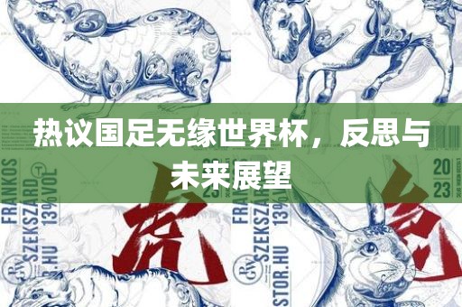 热议国足无缘世界杯，反思与未来展望眉山市正发家政服务有限公司