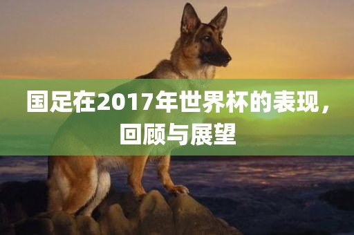 国足在2017年世界杯的表现，回顾与展望