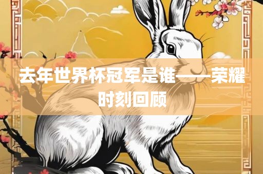 眉山市正发家政服务有限公司去年世界杯冠军是谁——荣耀时刻回顾