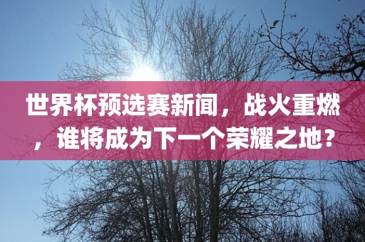 世界杯预选赛新闻，战火重燃，谁将成为下一个荣耀之地？