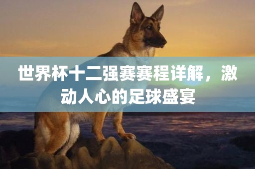 眉山市正发家政服务有限公司世界杯十二强赛赛程详解，激动人心的足球盛宴