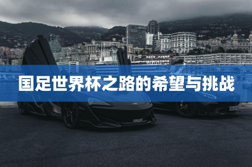 国足世界杯之路的希望与挑战眉山市正发家政服务有限公司