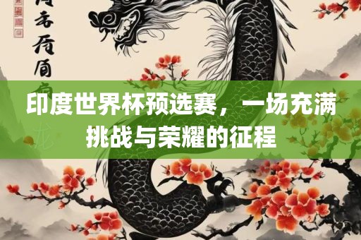 眉山市正发家政服务有限公司印度世界杯预选赛，一场充满挑战与荣耀的征程