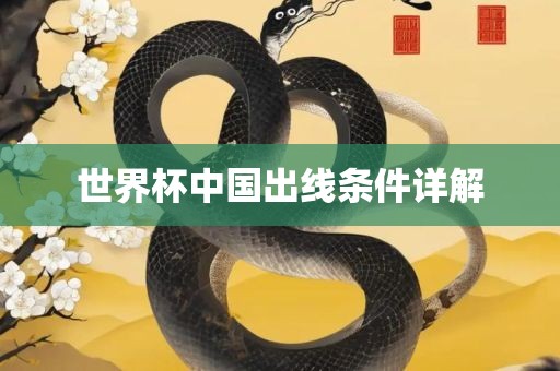 世界杯中国出线条件详解眉山市正发家政服务有限公司