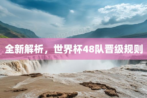 全新解析眉山市正发家政服务有限公司，世界杯48队晋级规则