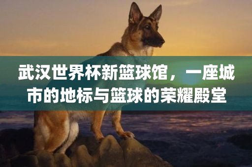 武汉世界杯新篮球馆，一座城市的地标与篮球的荣耀殿堂眉山市正发家政服务有限公司