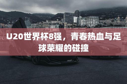 U20世界杯8强，青春热血与足球荣耀的碰撞