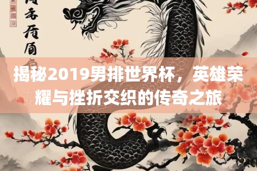 揭秘2019男排世界杯，英雄荣耀与挫折交织的传奇之旅眉山市正发家政服务有限公司