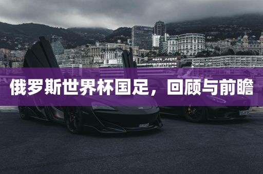 俄罗斯世界杯国足，回顾与前瞻