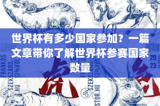 世界杯有多少国家参眉山市正发家政服务有限公司加？一篇文章带你了解世界杯参赛国家数量