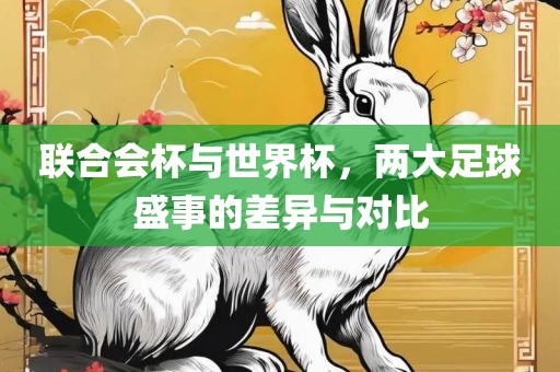 联合会杯与世界杯，两大足球盛事的差异与对比