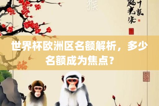 世界杯欧洲区名额解析，多少名额成为焦点？