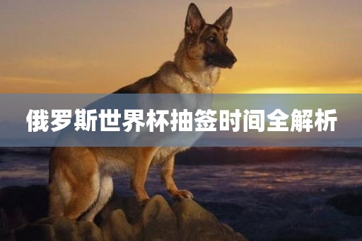 俄罗斯世界杯抽签时间全解析