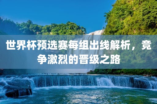 世界杯预选赛每组出线解析，竞争激烈的晋级之路眉山市正发家政服务有限公司