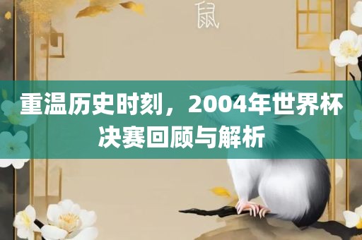 重温历史时刻，2004年世界杯决赛回顾与解析眉山市正发家政服务有限公司
