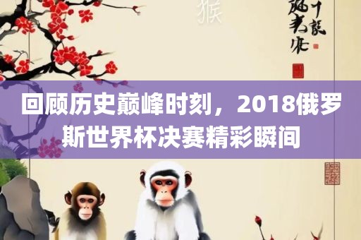 回顾历史巅峰时刻，2018俄罗斯世界杯决赛精彩瞬间