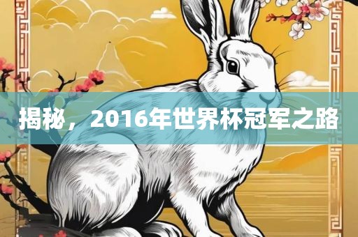 揭秘，2016年世界杯冠军之路