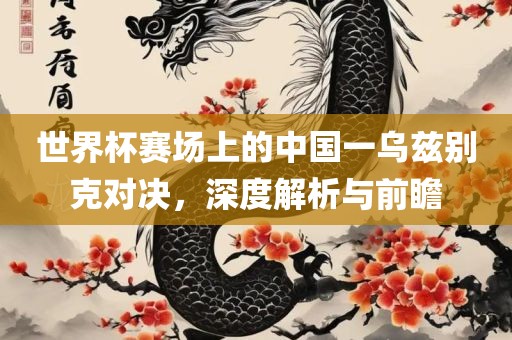 世界杯赛场上的中国一乌兹别克对决，深度解析与前瞻