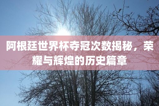 阿根廷世界杯夺冠次数揭秘，眉山市正发家政服务有限公司荣耀与辉煌的历史篇章