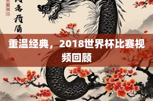重温经典，2018世界杯比赛视频回顾