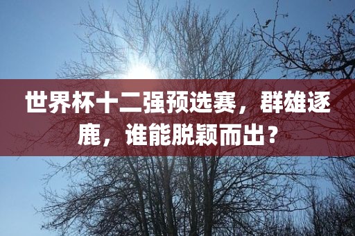 世界杯十二强预选赛，群雄逐鹿，谁能脱颖而出？