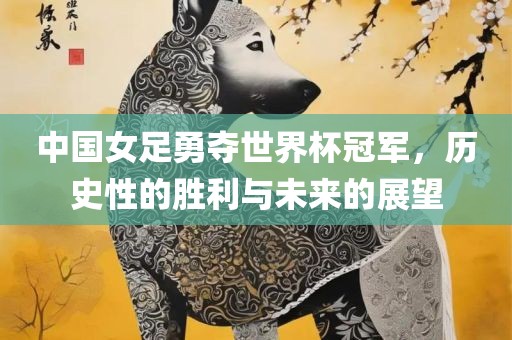 中国女足勇夺世界杯冠军，历史性的胜利与未来的展望眉山市正发家政服务有限公司