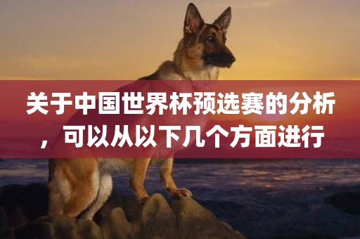 关于中国世界杯预选赛的分析，可以从以下几个方面进行