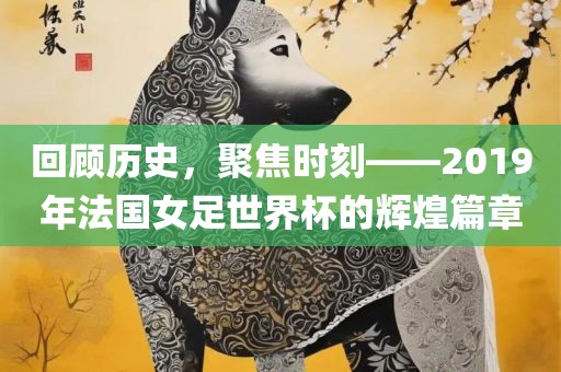 回顾历史，聚焦时刻——2019年法国女足世界杯的辉煌篇章