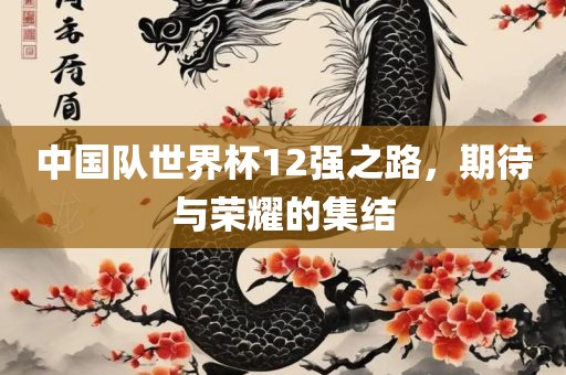 中国队世界杯12强之路，期待与荣耀的集结眉山市正发家政服务有限公司