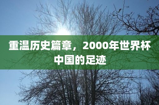 重温历史篇章，2000年世界杯中国的足迹眉山市正发家政服务有限公司